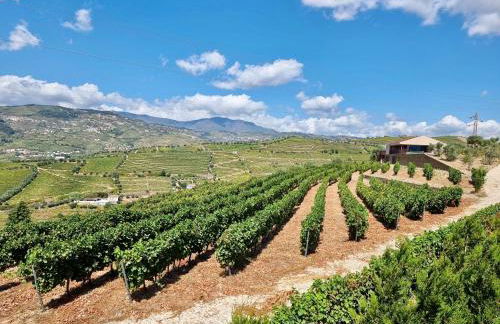 Douro Valley Luxury Home with Vineyard and Infinity Pool - Photo 27