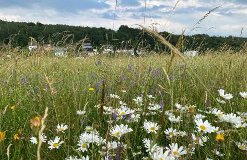 Bi Abbas Jong - Foto 22