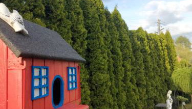 Agroturystyka Jagoda - Photo 5, Garden, Garden view