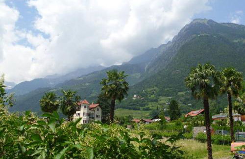 Apartment Sonne auf Bio-Hof - Photo 19