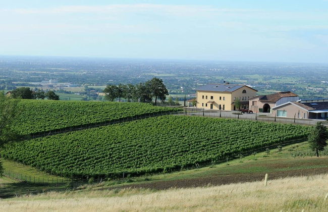 Pianderna Agriwellness - Foto 26