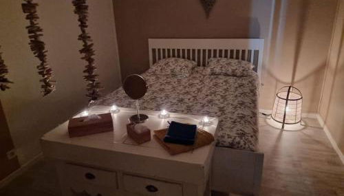 Petit cocon quartier historique Chaumont - Foto 5