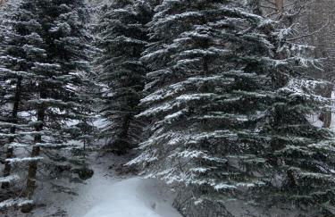 Appartement Les Menuires - 4 personnes à 20 m des pistes - Foto 17