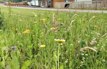 Ballymultimber Cottages - traditional cottages on the Causeway Coast - Foto 18
