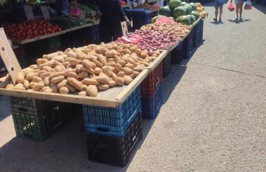 Telis House - Foto 24