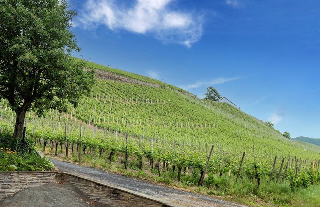 Cheerful Holiday Home in Kinheim With Mountain Views - Photo 43