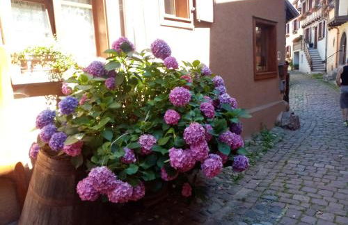 Studio Danton - Foto 1