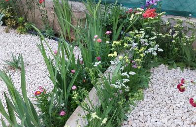 Apartments Jeličić - Foto 62