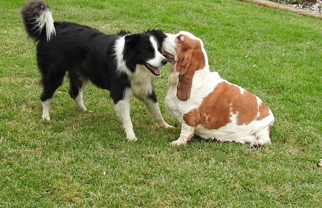 Barkly Suites Apartments - Foto 15