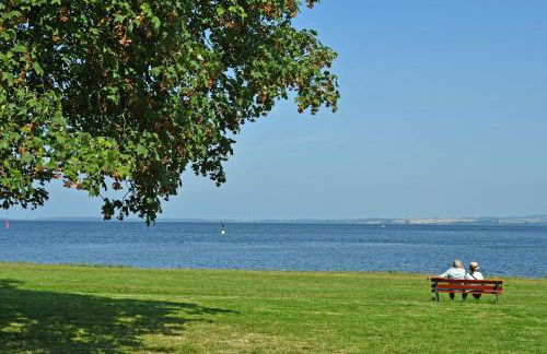 schoene Ferienwohnung mit Terrasse - Photo 12