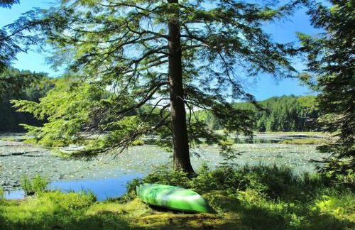 Vermont Ski Home Lake Home - Foto 51