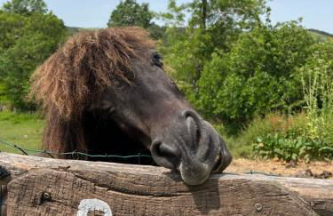 Agriturismo Podere Asche - Photo 1
