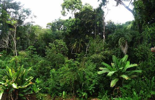 Vila Engawa Flats - Foto 25