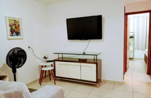 Samambaia QI 616 - Foto 3