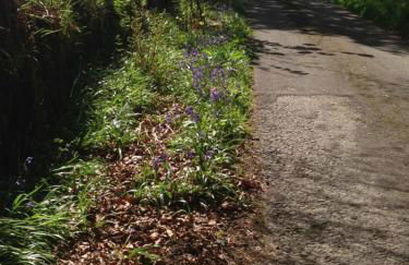 Woodside Cottage Self Catering - Foto 9