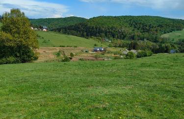 Domki w Bieszczadzkiej Dolinie - Foto 50