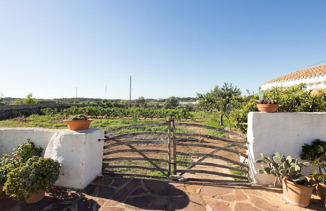 Finca Calafi Nou - Photo 40