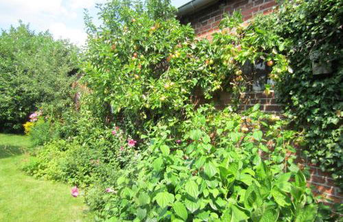 Exklusive Ferienwohnung Strohberg - Foto 18