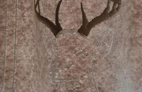 Staguda 59 - Foto 19