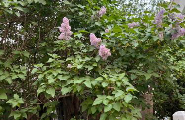 Cozy Cape Cod - Foto 7