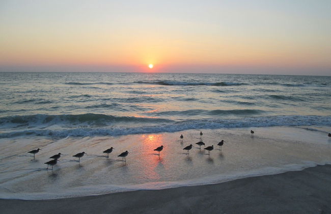 Casa Del Mar Longboat Key - Foto 73