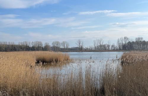 Ferienidyll Bartling Haus Vineta WG 7 im alten Ortskern, modern, gemütlich - Foto 12