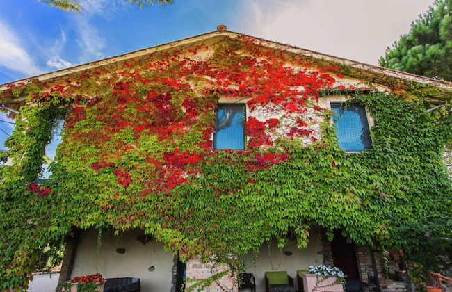 Farmhouse in Marsciano With Vineyards Olive Groves - Foto 1