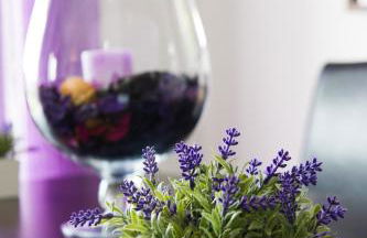 Alojamentos Campo & Mar-T2 com Piscina - Foto 16