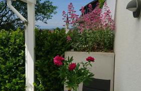 Casa Asensio - Foto 24