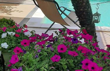 Casa Vacanze Etna Cocus - Foto 50