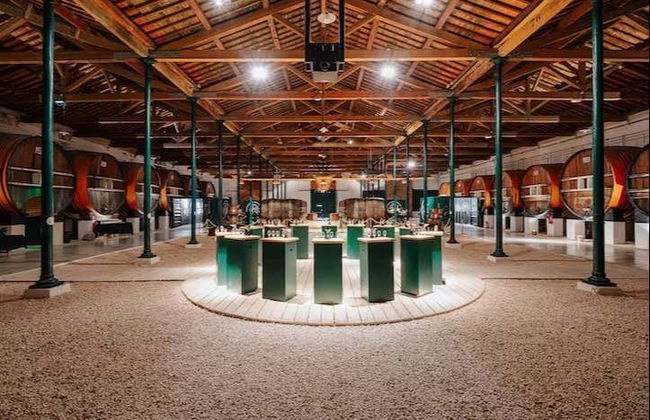 Tour in Marseillan - Photo 2