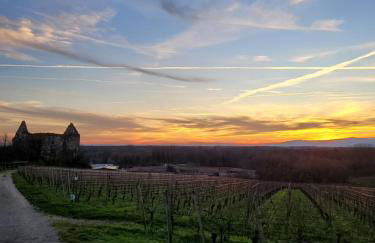 Ferienwohnung Alte Schmiede - Foto 22