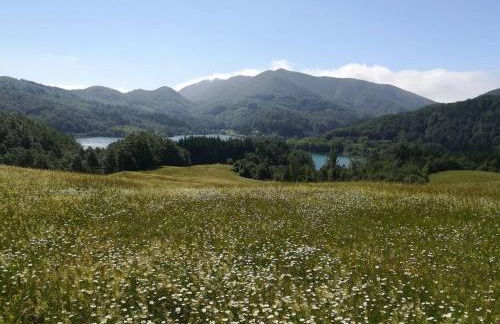 Appartamento Poli con giardino - Foto 14