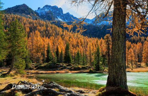 Ca' Viridi - Foto 36