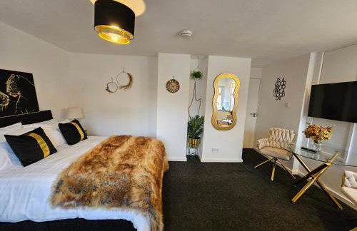 Deluxe Town Centre Studio Stevenage - Foto 3