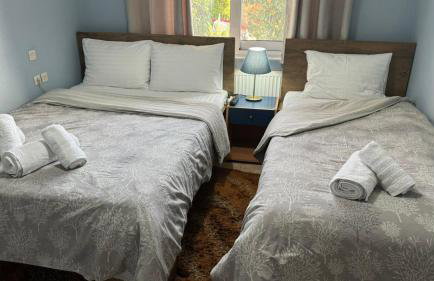 Villa Gomfoi Trikala - Smart Town BnB - Foto 7