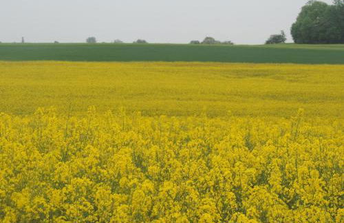 Holiday Home Gartenblick in Vöhl-Basdorf by Interhome - Foto 17