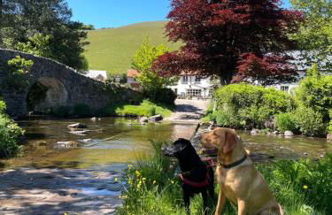 Stone Barn - Photo 30