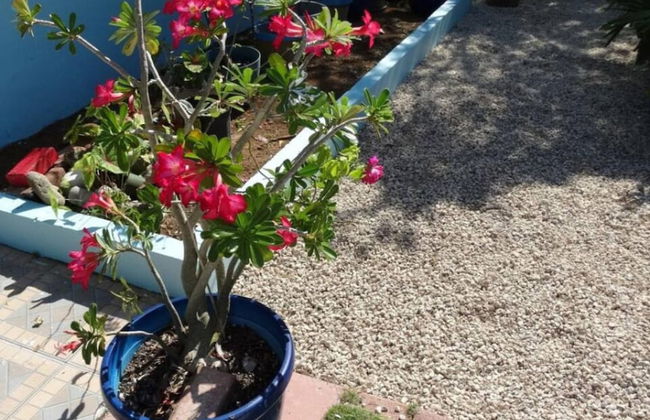 S2 BP Steps to Beach - Photo 49