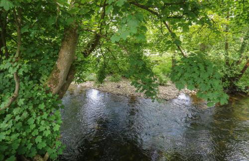 Glas y Dorlan - Foto 39