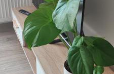 Apartament nad Jeziorem w Olecku - Foto 20