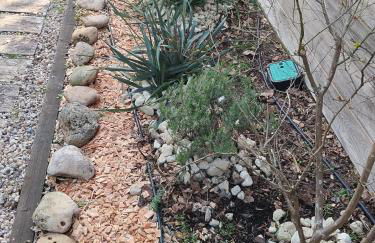 coucher de soleil vensac ocean Montalivet - Foto 36