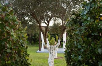 Neriana Villa - Garden Paradise - Foto 18