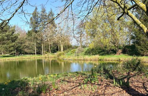 Peacock Barn - Photo 20