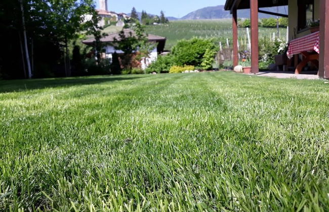 Casa Vacanze Piè di Castello - Foto 12