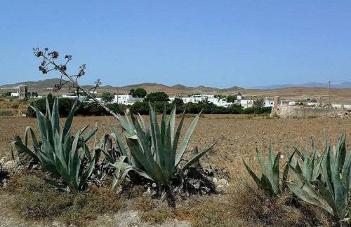 Cortijo Los Garridos - 12 huéspedes - Photo 38