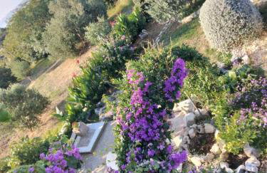 Apartments Panorama view Zeljko Scerbe - Foto 53