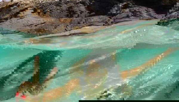 Passeio de barco por Arraial do Cabo - Foto 3