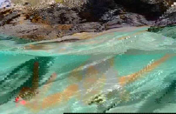 Passeio de barco por Arraial do Cabo - Foto 3