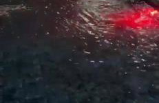 Chácara em Piracaia - Photo 43